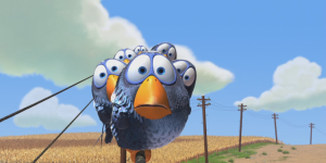 for-the-birds