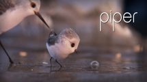 Piper-Disney-Pixar/Aika